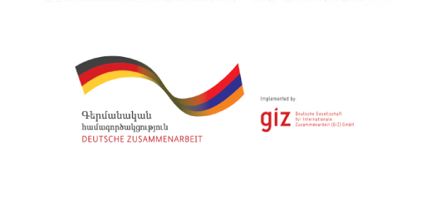 GIZ's support to the VET sector