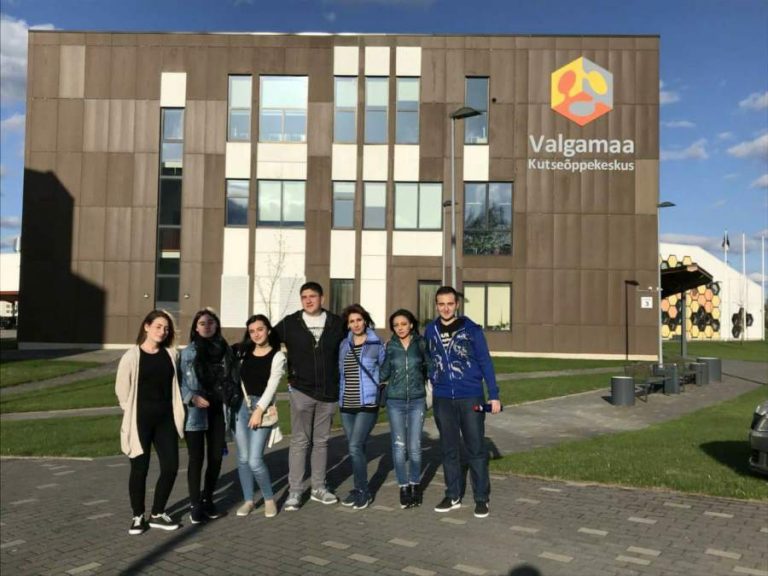 Professional Internship in Estonia